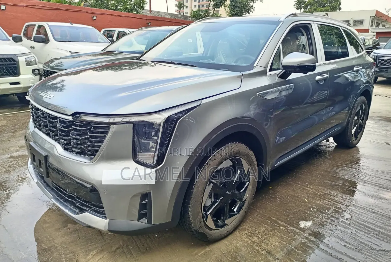 New Kia Sorento 2025 Gris