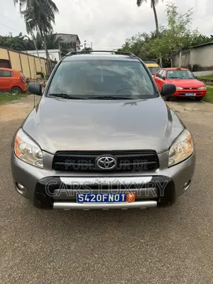 Toyota RAV4 2.0 VVT-i 2008 Gris