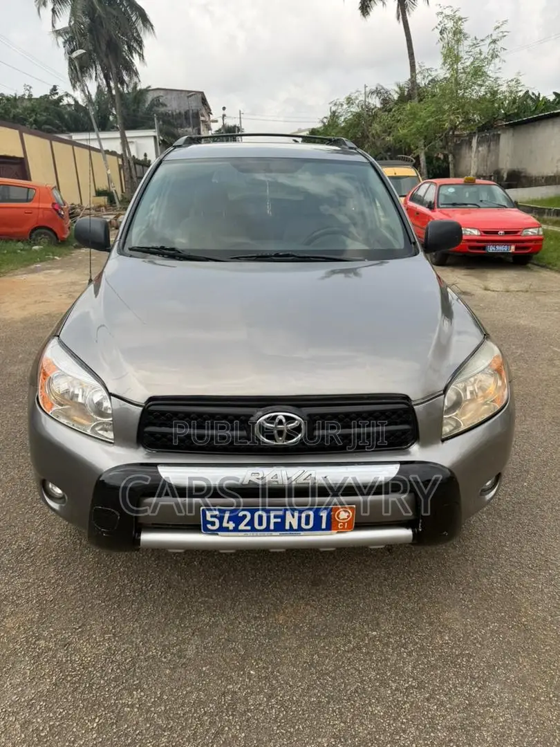 Toyota RAV4 2.0 VVT-i 2008 Gris