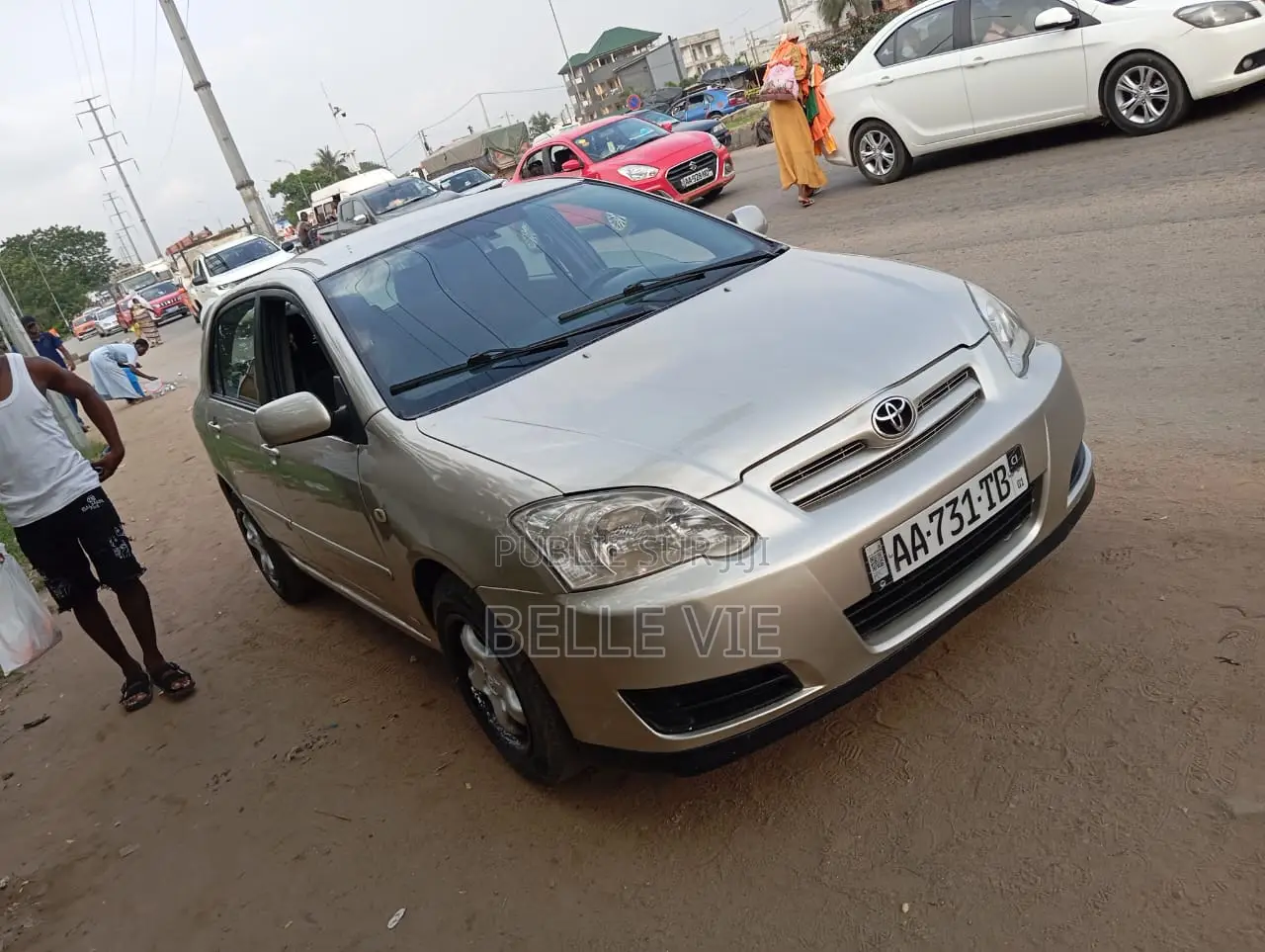 Toyota Corolla 2005 Gris