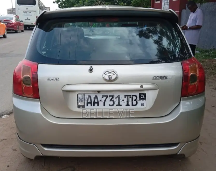 Toyota Corolla 2005 Gris