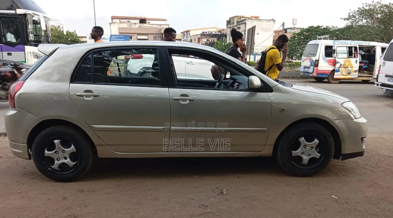 Toyota Corolla 2005 Gris