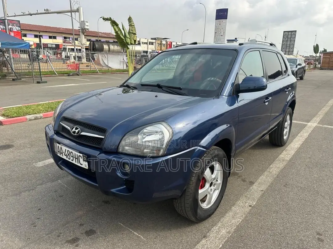 Hyundai Tucson 2006 Blue
