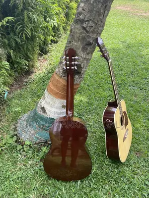 Guitare Acoustique Classique Et Sèche Et Folk Et Corde En Nylon