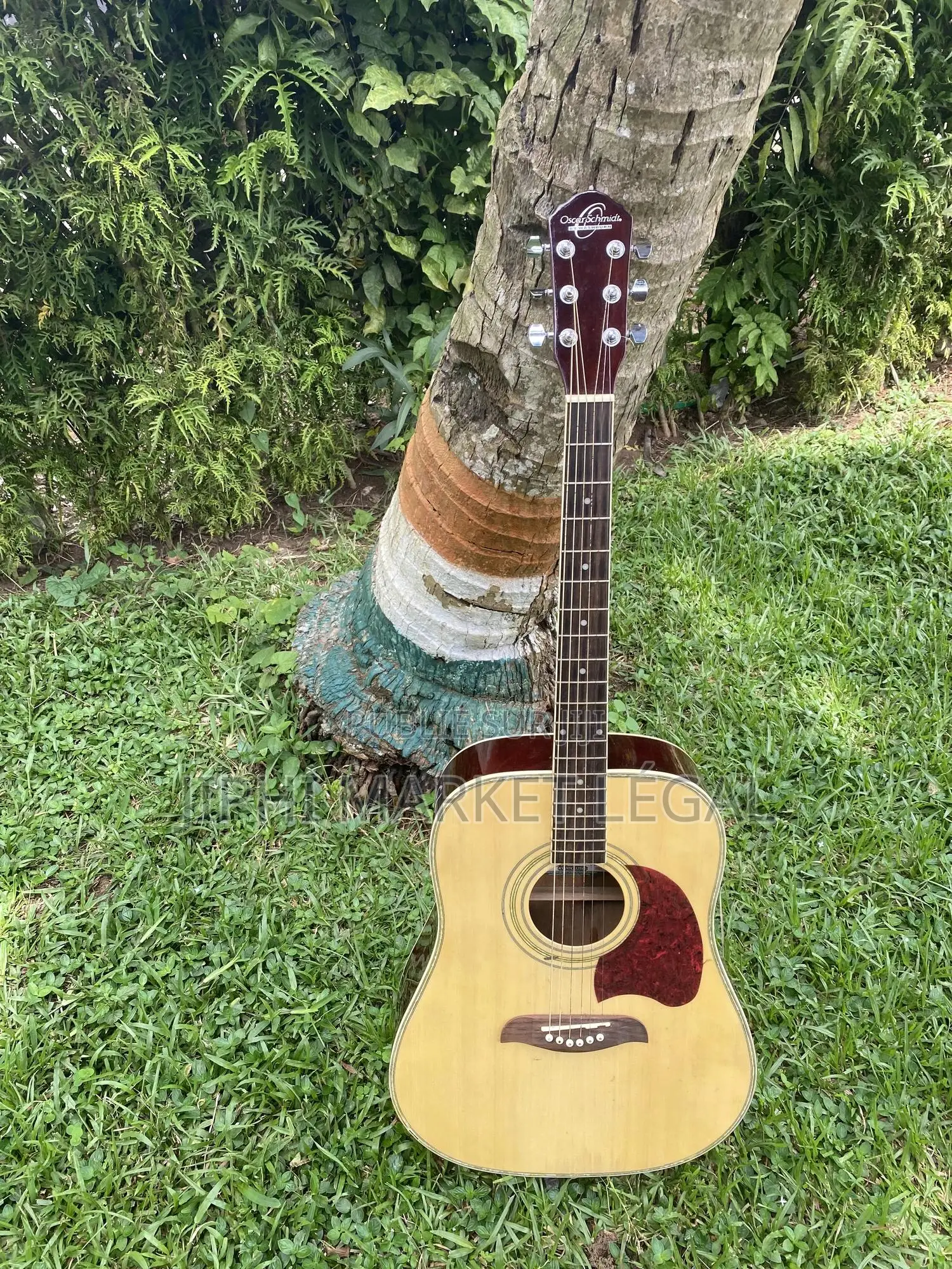 Guitare Acoustique Classique Et Sèche Et Folk Et Corde En Nylon