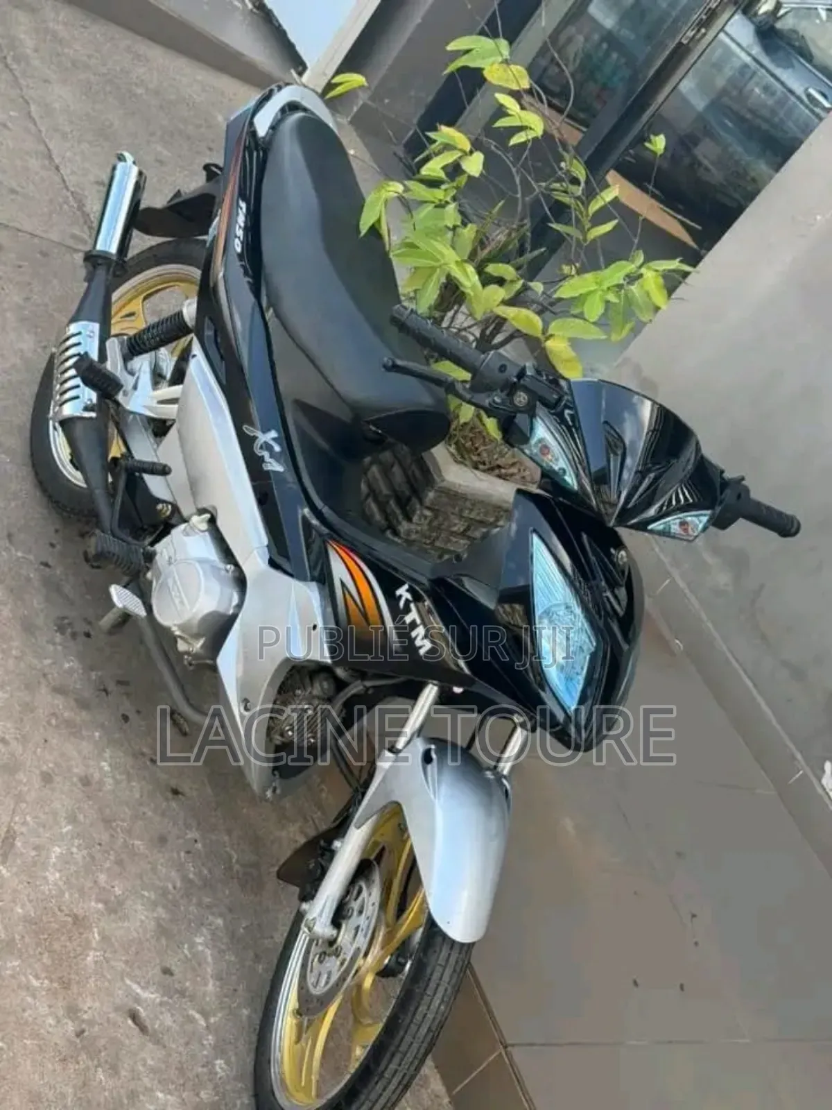 Neuf Motorcycle 2024