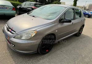 Peugeot 307 1.4 2001 Gris