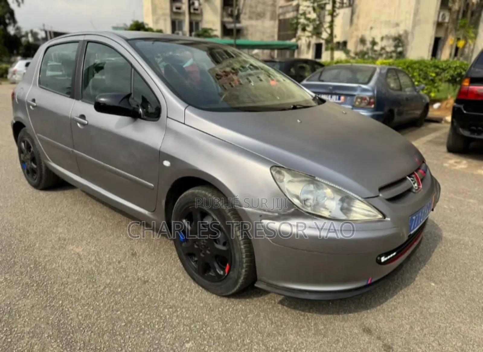 Peugeot 307 1.4 2001 Gris