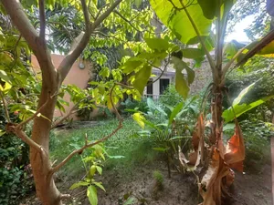 4chbre Duplex dans Francis Gweh, Cocody à Louer