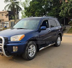 Toyota RAV4 2009 Blue