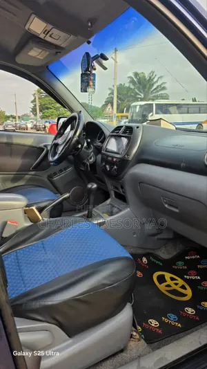 Toyota RAV4 2009 Blue