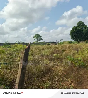 Terrain À Bingerville Nord-Est