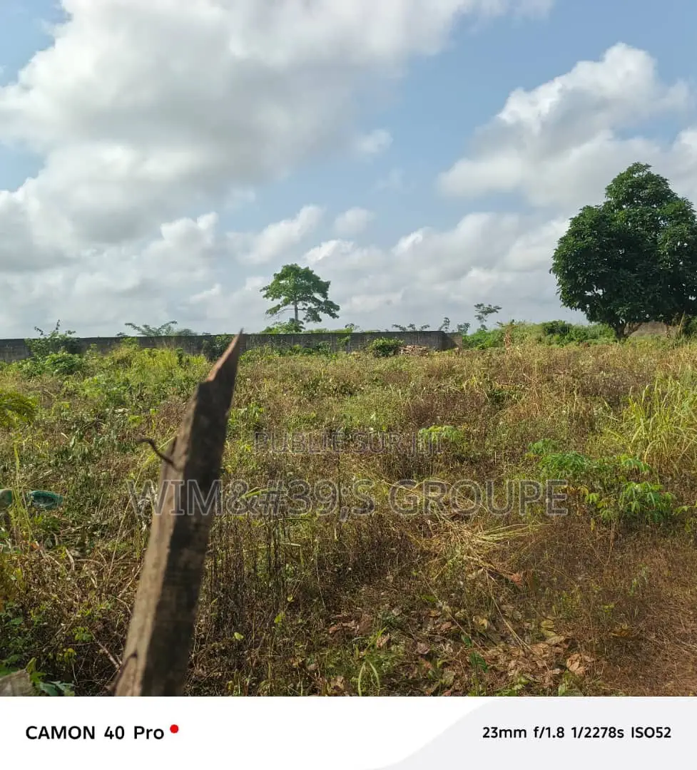 Terrain À Bingerville Nord-Est