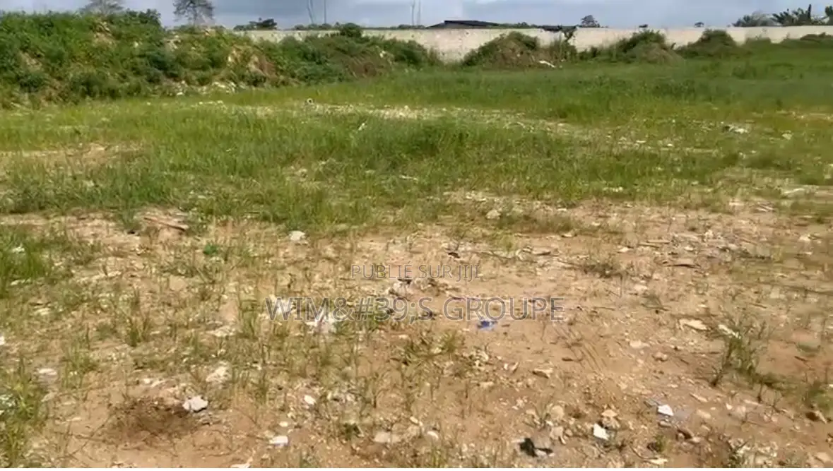 20 Hectares Sur La Route D’Alepé