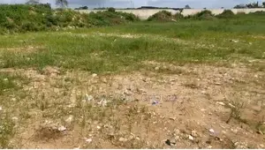 20 Hectares Sur La Route D’Alepé