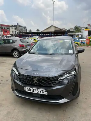 Peugeot 3008 2021 Gris