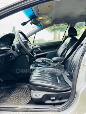 Peugeot 407 2005 Gris