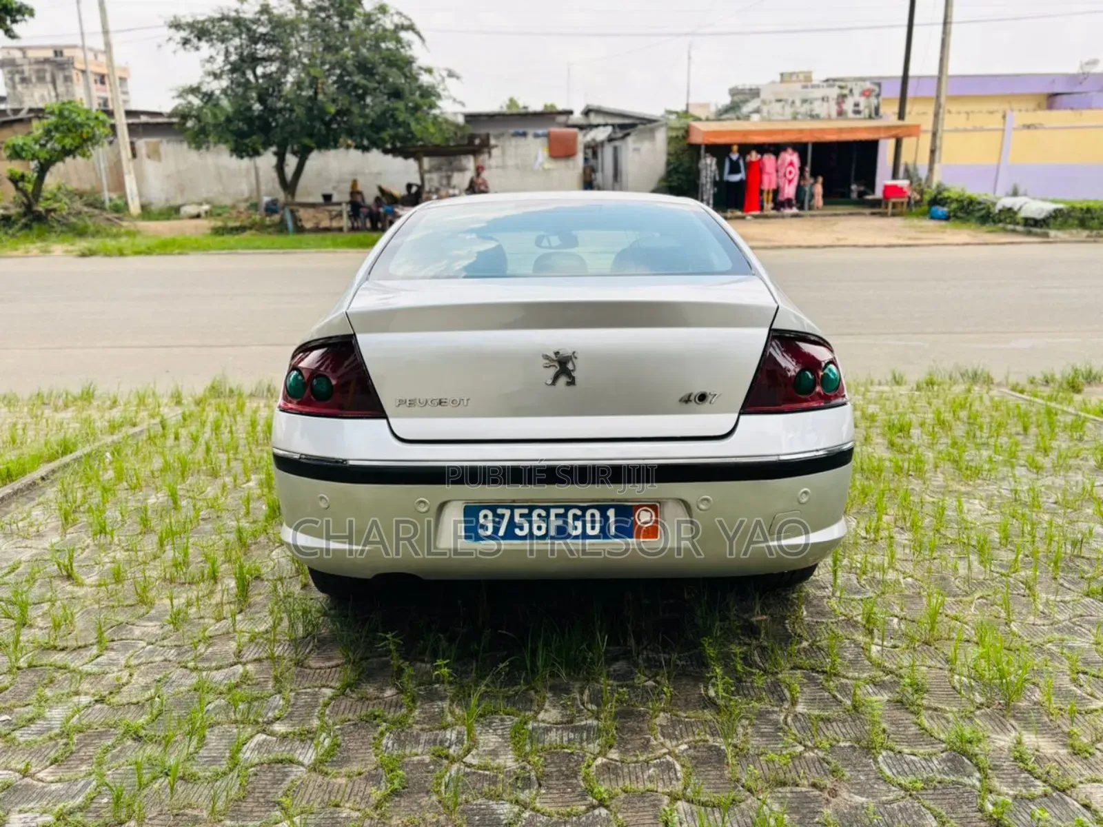 Peugeot 407 2005 Gris