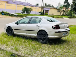 Peugeot 407 2005 Gris