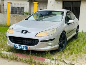 Peugeot 407 2005 Gris