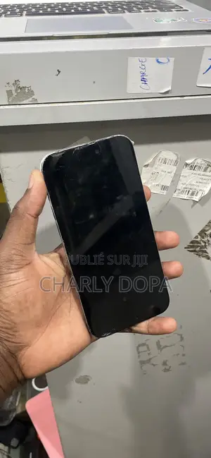 Apple iPhone 15 Plus 128 GB Black