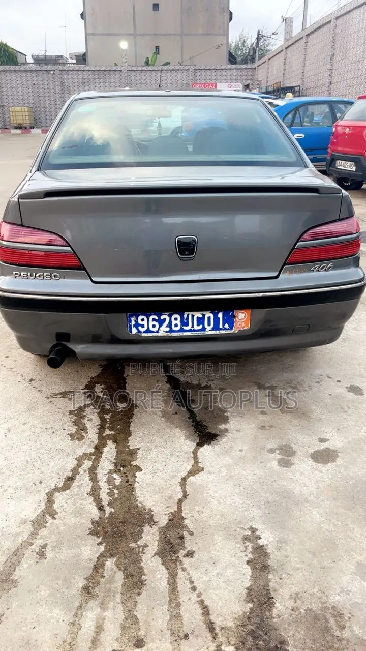 Peugeot 406 1998 Gris