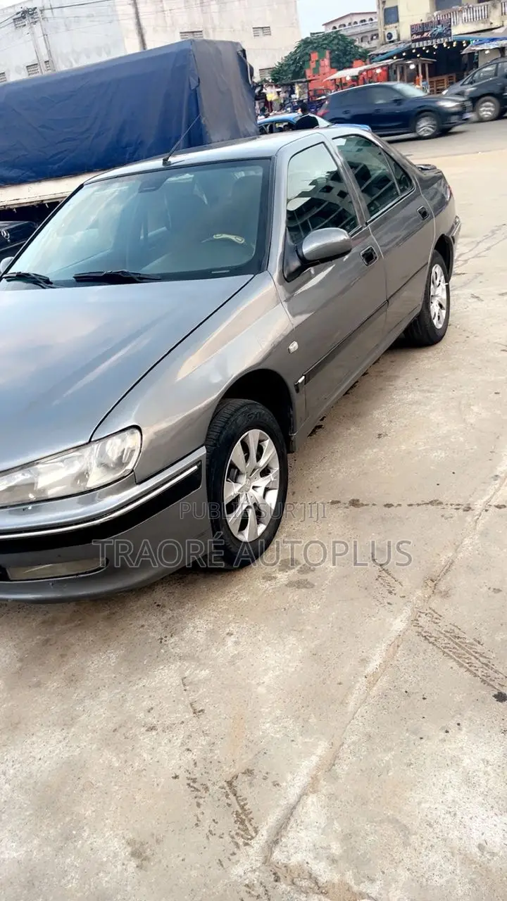 Peugeot 406 1998 Gris
