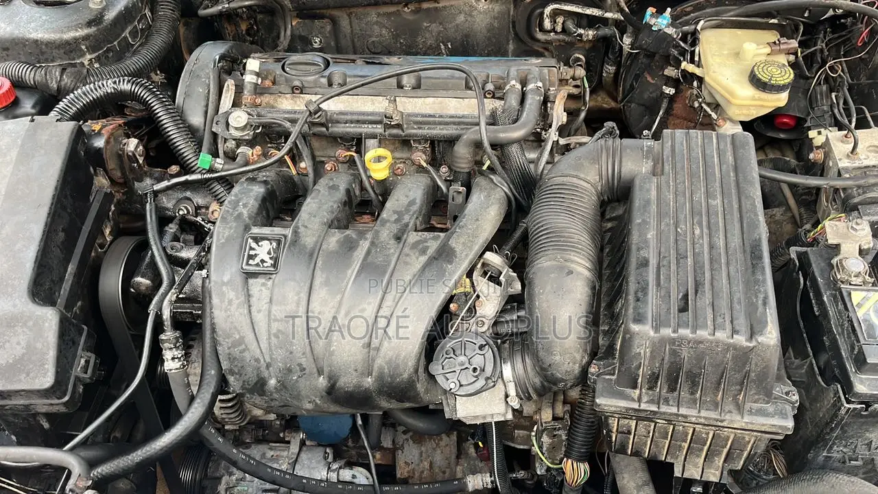 Peugeot 406 1998 Gris