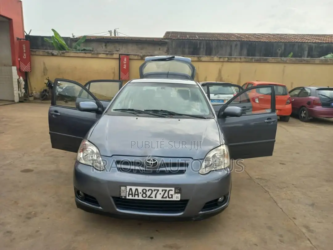 Toyota Corolla 2004 Gris