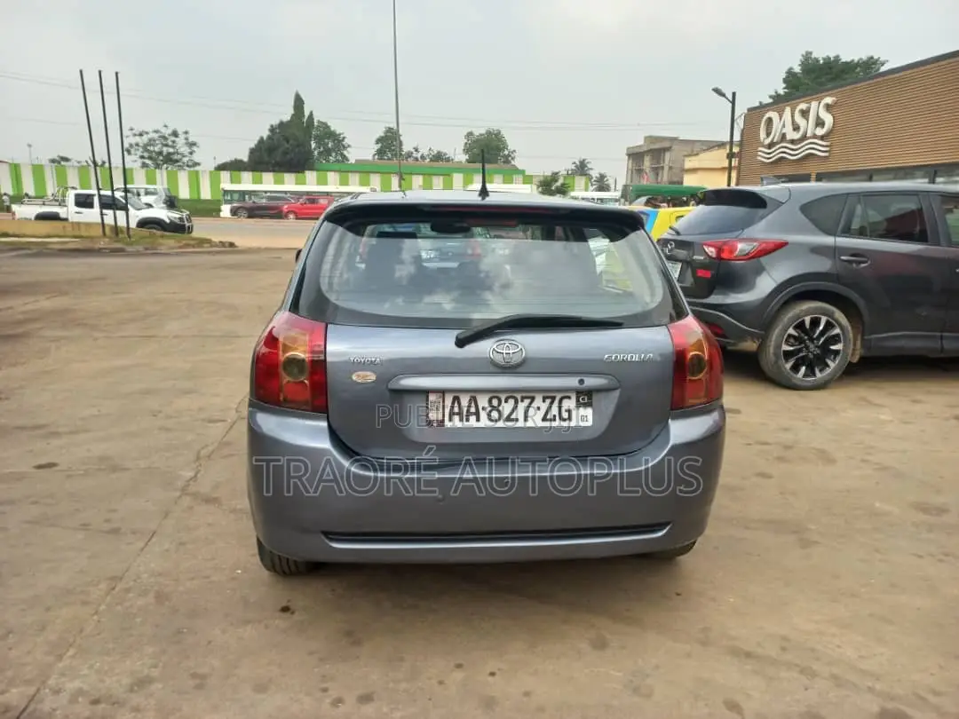 Toyota Corolla 2004 Gris