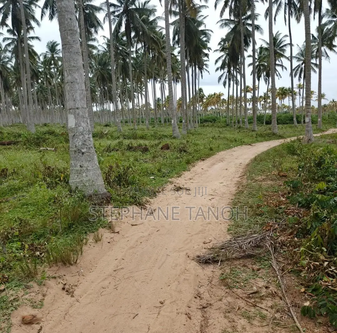 Très Belle Opportunité À Ne Pas Rater !