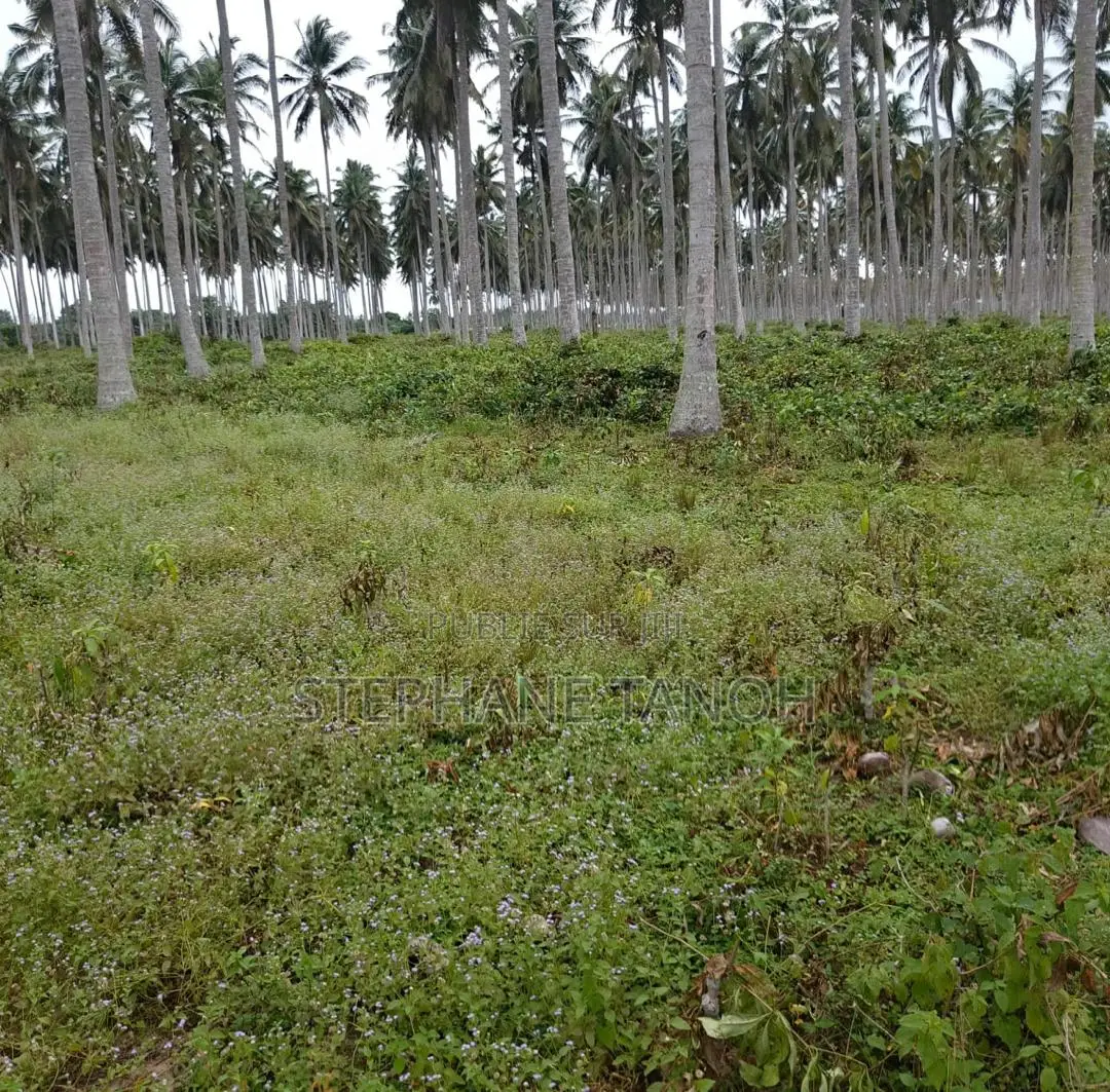 Très Belle Opportunité À Ne Pas Rater !