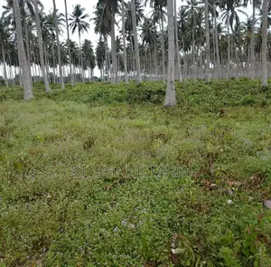 Très Belle Opportunité À Ne Pas Rater !
