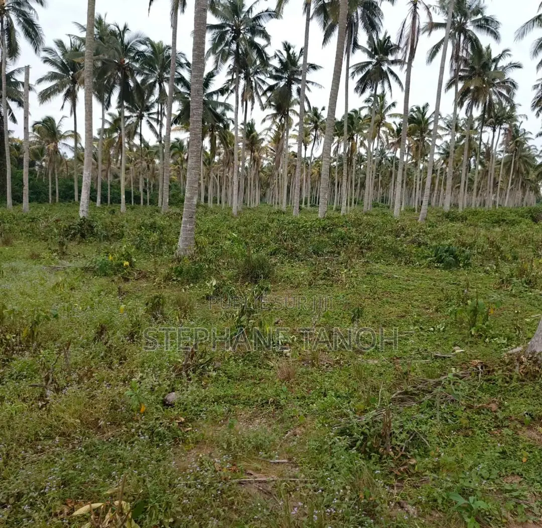 Très Belle Opportunité À Ne Pas Rater !