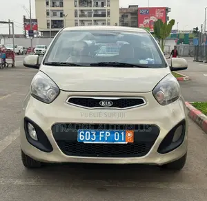 Kia Picanto 2013 Gris