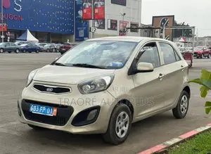 Kia Picanto 2013 Gris