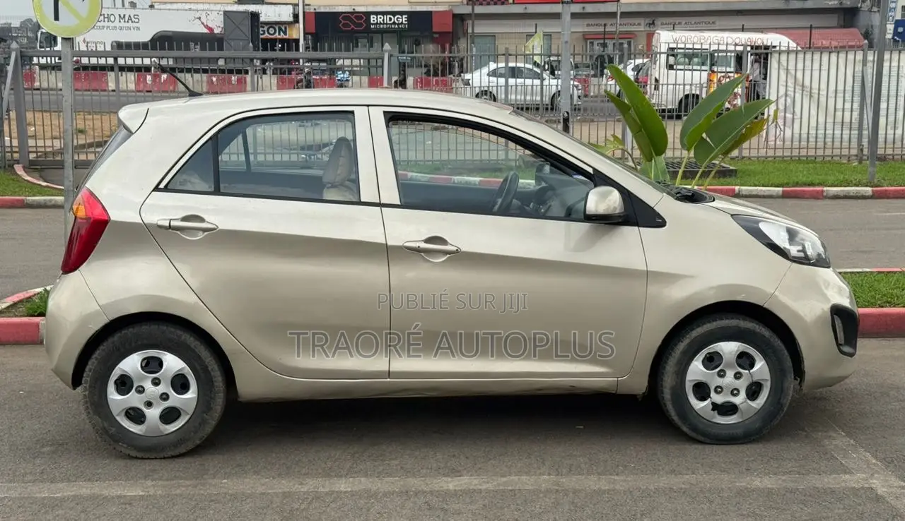 Kia Picanto 2013 Gris