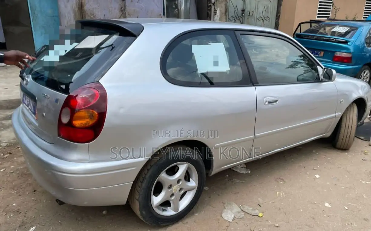 Toyota Corolla 2002 Gris