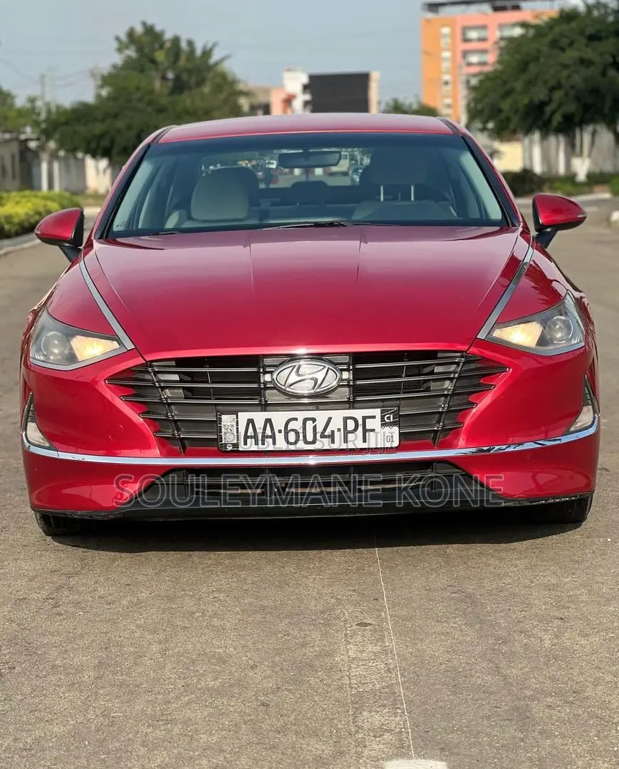 Hyundai Sonata 2020 Rouge