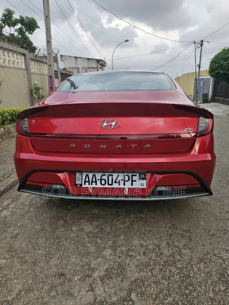 Hyundai Sonata 2020 Rouge