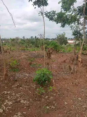 Vente De Terrain Avec Titre Foncier