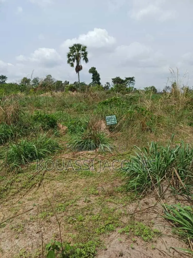 Vente De Terrain Avec Titre Foncier