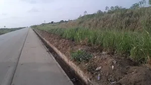 Vente De Terrains Avec Acd Bingerville Elokato en Bordure Du Goudron"*