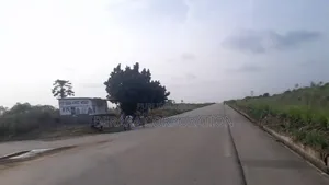 Vente De Terrains Avec Acd Bingerville Elokato en Bordure Du Goudron"*