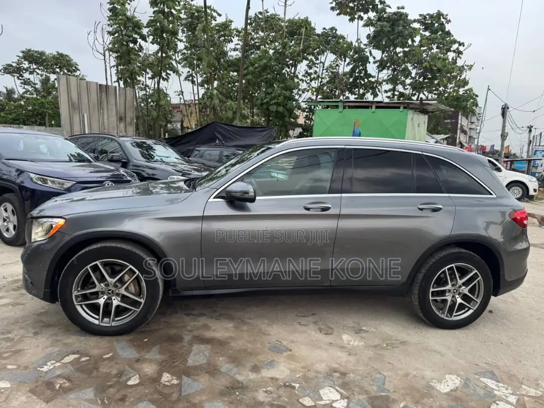 Mercedes-Benz GLC-Class 2017 Gris
