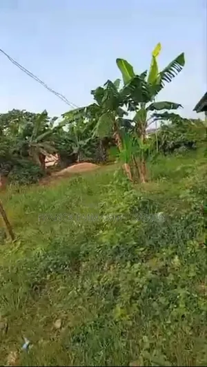 3chbre Villa dans Kanon Immobilier, Songon à Vendre