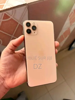 Apple iPhone 11 Pro Max 256 GB Argenté