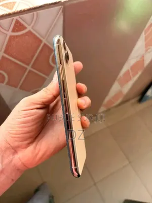 Apple iPhone 11 Pro Max 256 GB Argenté