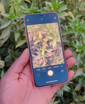 Apple iPhone XR 256 GB Orange