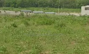 50 Lots Disponibles a Sikensi